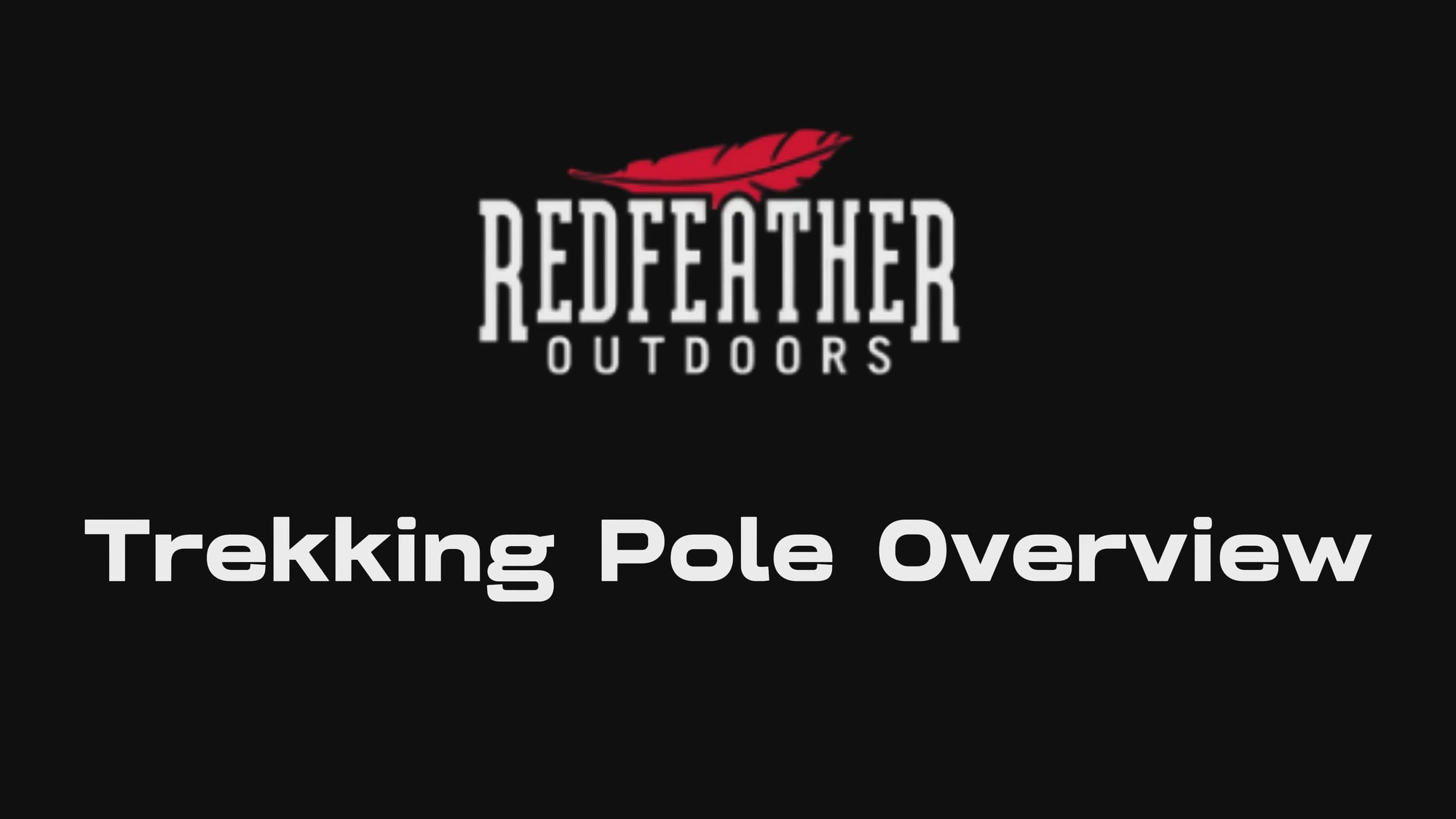 3 Section Trekking Poles